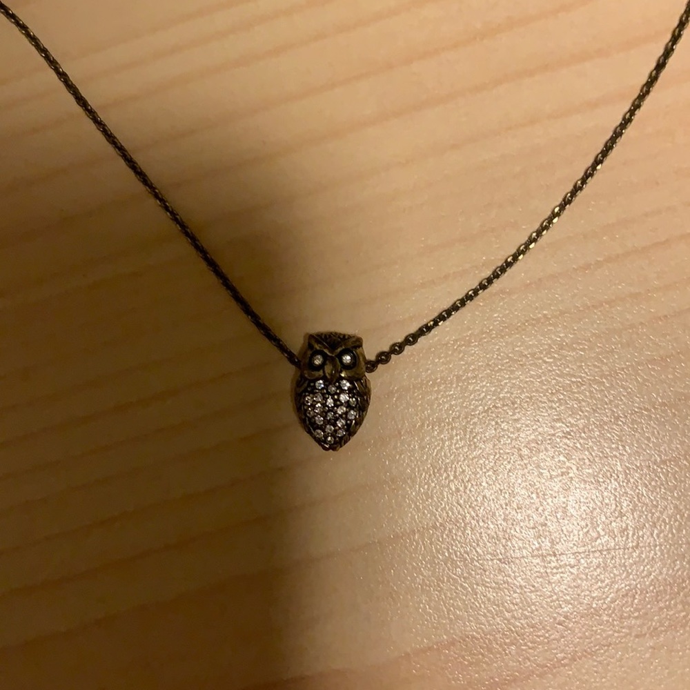 Fossil necklace